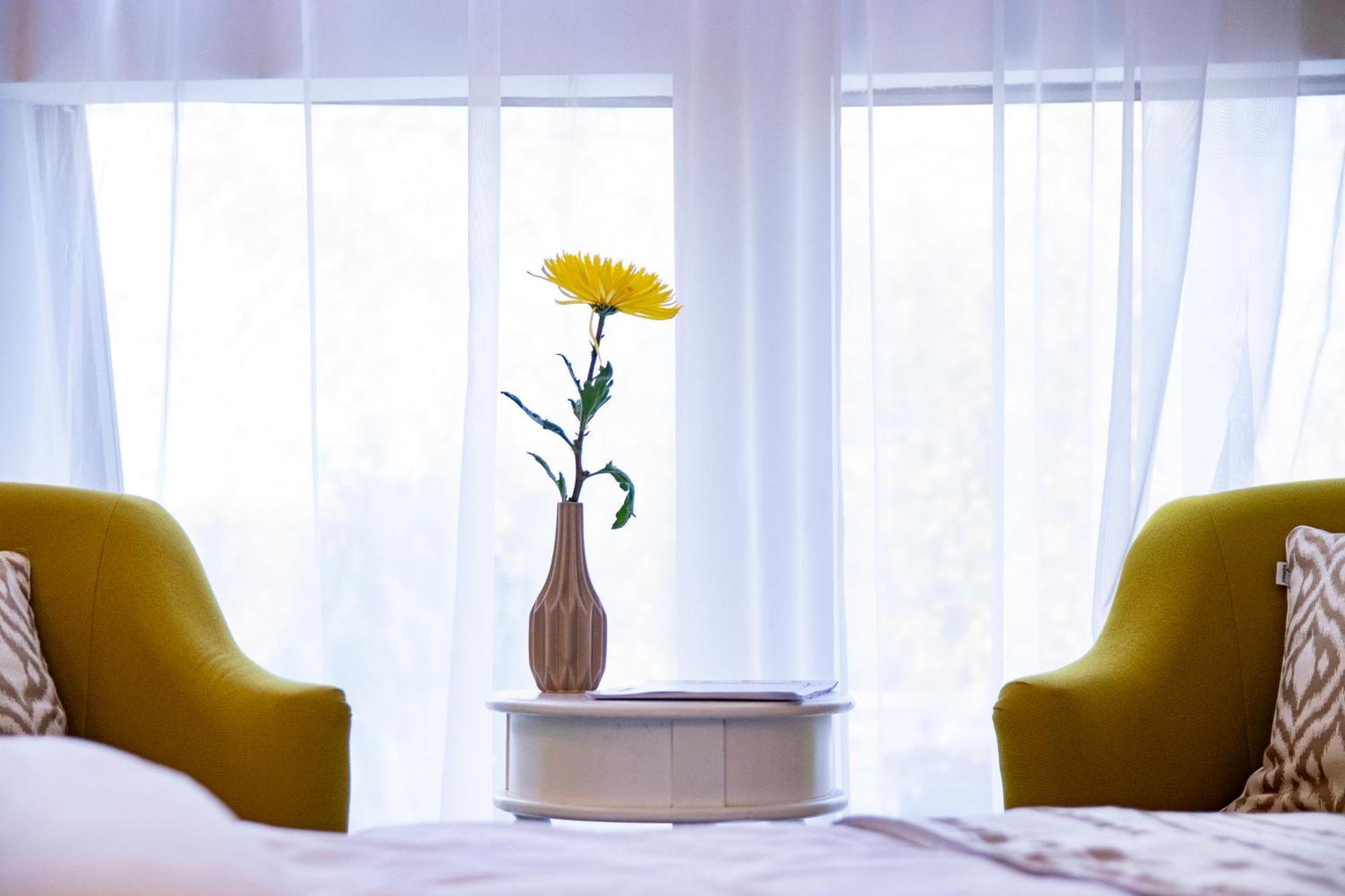 Akasha Wellness And Yoga Retreat Adult Only Bran (Brasov) Room photo