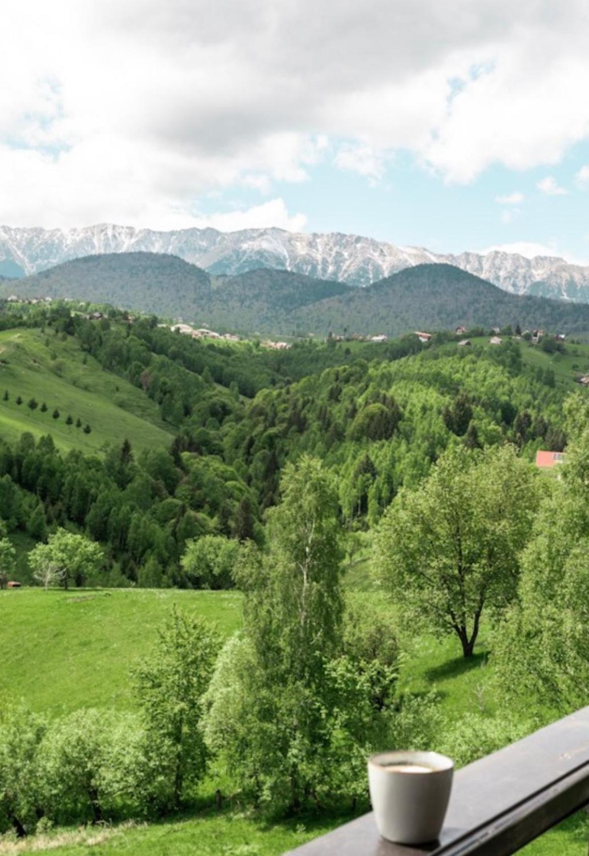 Akasha Wellness And Yoga Retreat Adult Only Bran (Brasov) Exterior photo