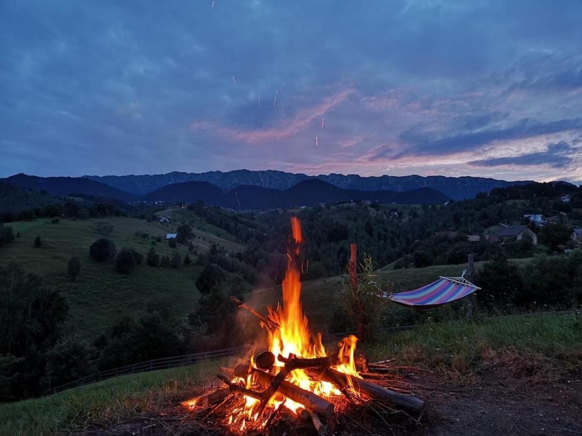 Akasha Wellness And Yoga Retreat Adult Only Bran (Brasov) Exterior photo