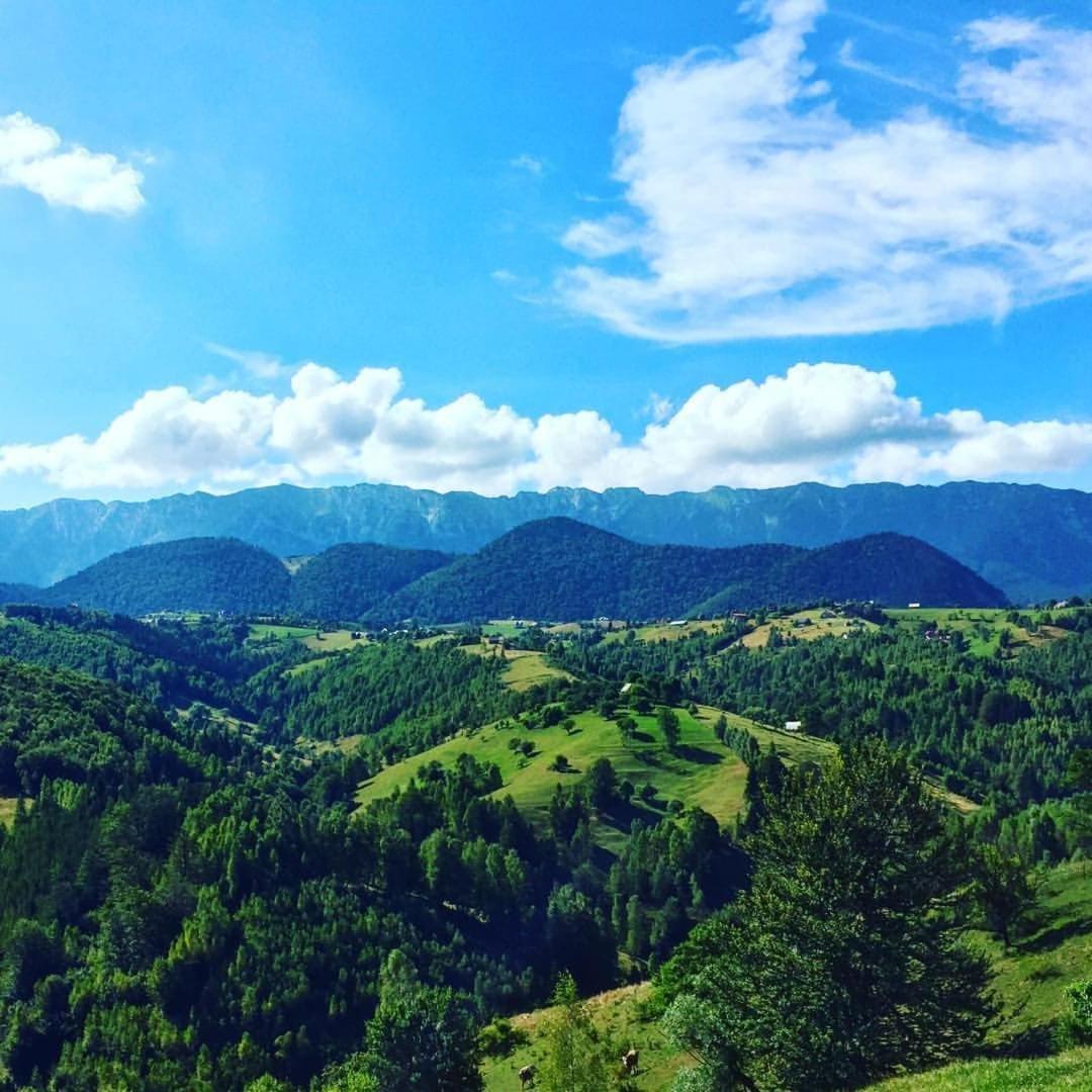Akasha Wellness And Yoga Retreat Adult Only Bran (Brasov) Exterior photo